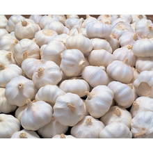 red natural garlic china price per ton